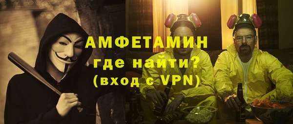 шишки Белокуриха