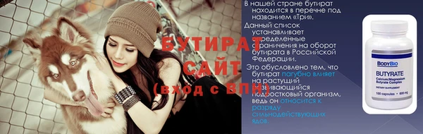 шишки Белокуриха