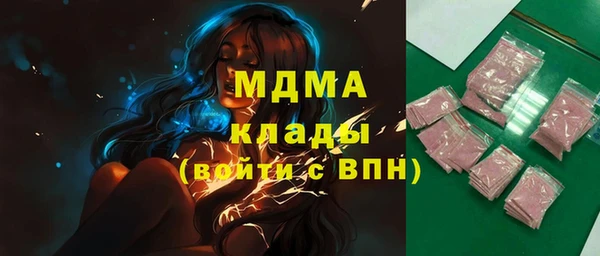 шишки Белокуриха