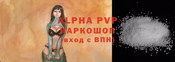 шишки Белокуриха