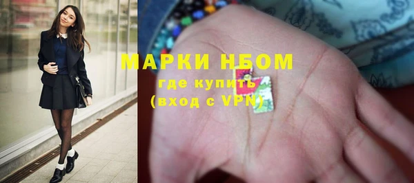шишки Белокуриха