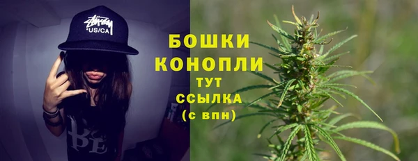 шишки Белокуриха