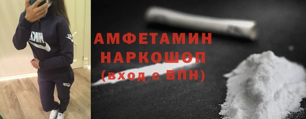 шишки Белокуриха