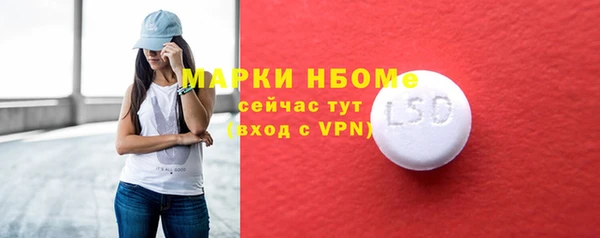 шишки Белокуриха