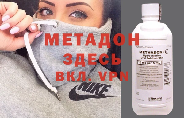 шишки Белокуриха