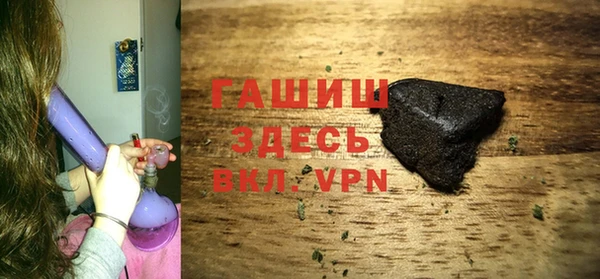 шишки Белокуриха