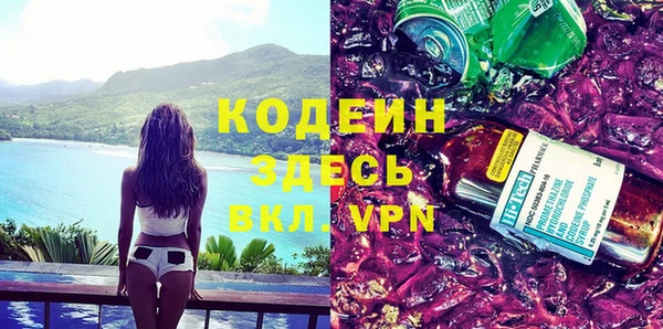 шишки Белокуриха