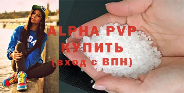 шишки Белокуриха