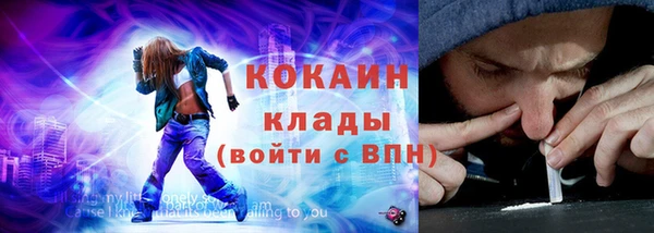 шишки Белокуриха