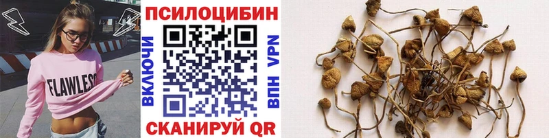Галлюциногенные грибы Psilocybine cubensis  наркотики  Верещагино 
